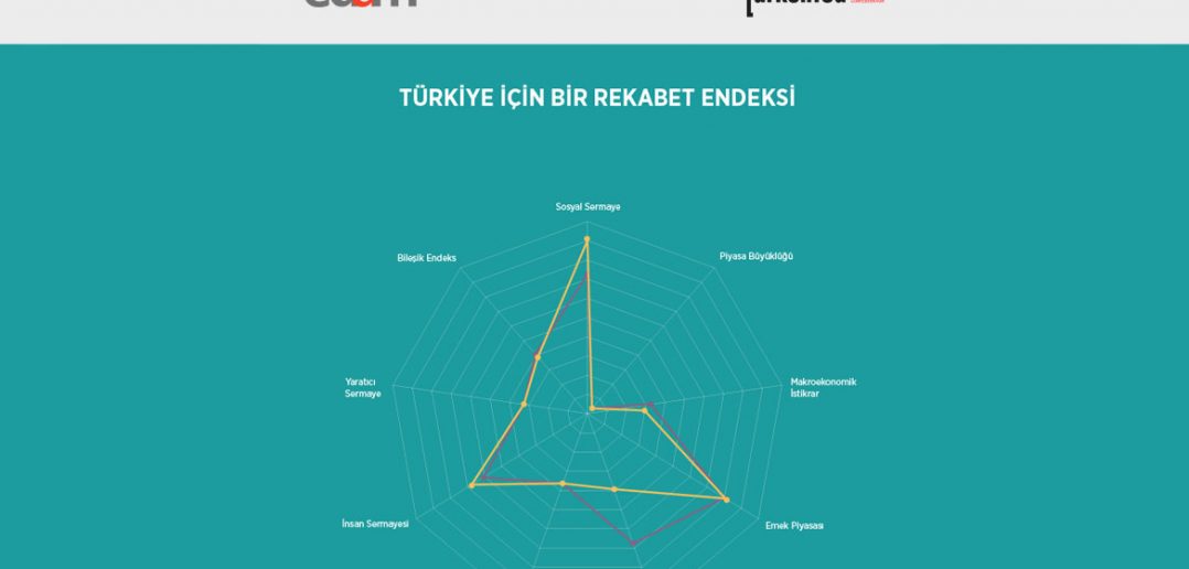 Türkiye İçin Bir Rekabet Endeksi