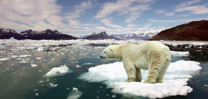 Turkish Position in the UNFCCC Climate Change Negotiations