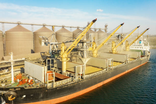 The Black Sea Grain Deal, What Now?